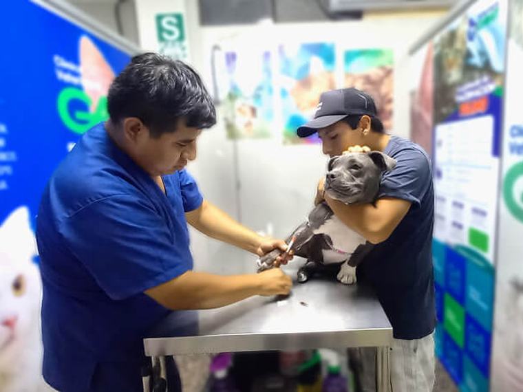 Clínica Veterinaria Gavet