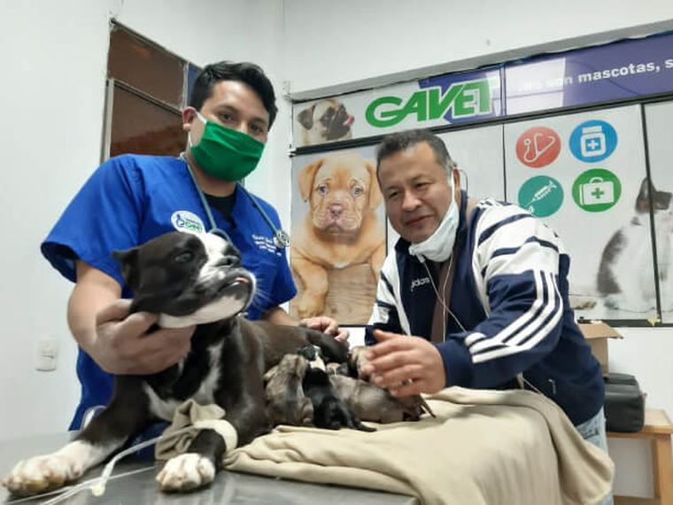 Clínica Veterinaria Gavet