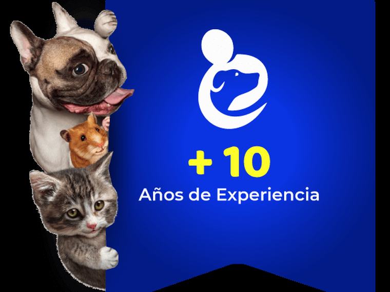 Clínica Veterinaria Gavet