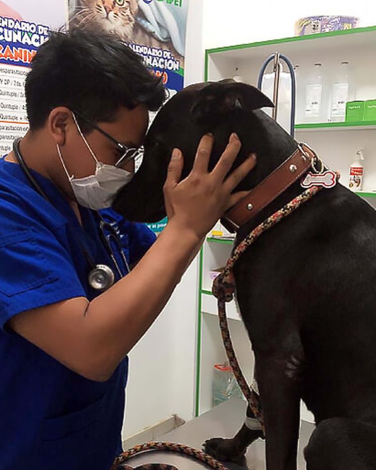 Clínica Veterinaria Gavet